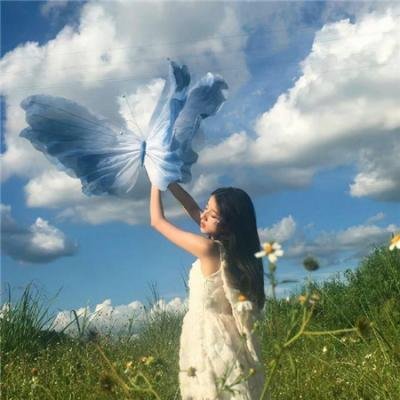 11度青春之《夕花朝拾》